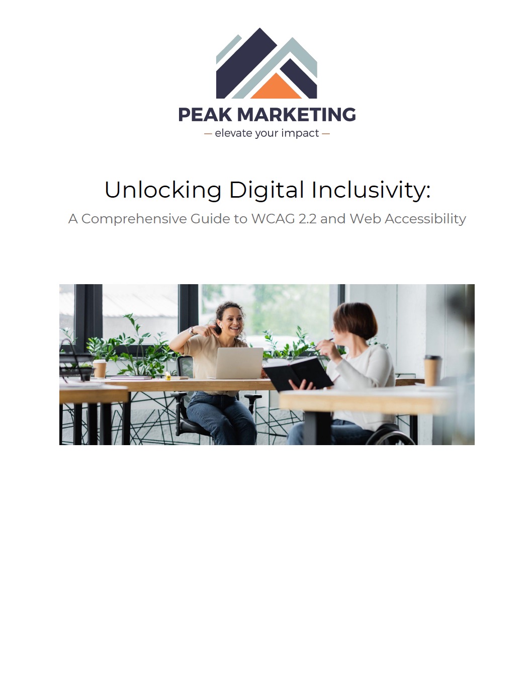 Website Accessibility White Paper - Peak Marketing